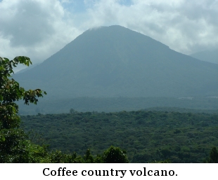 Coffee and volcanoes just sort of go together.